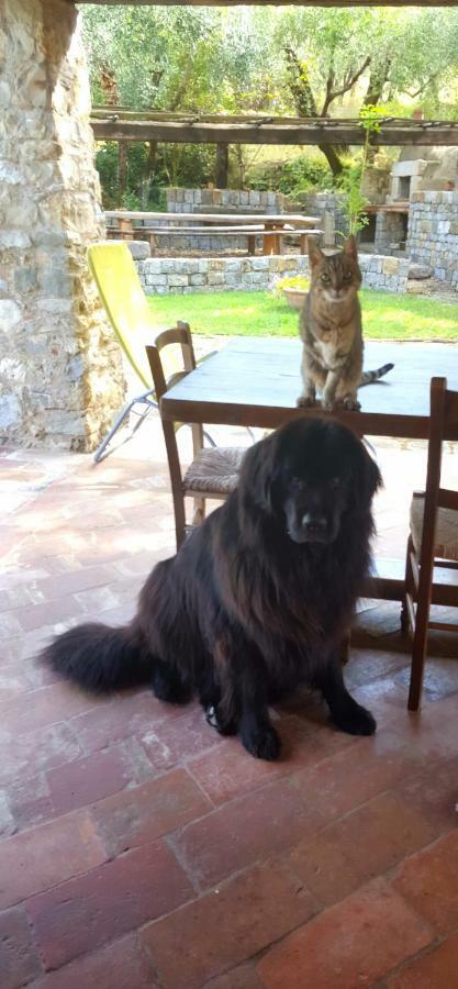 La Corte Del Falco Pieve a Nievole Kültér fotó