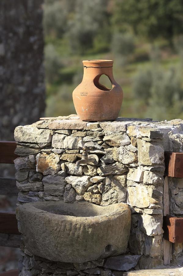 La Corte Del Falco Pieve a Nievole Kültér fotó